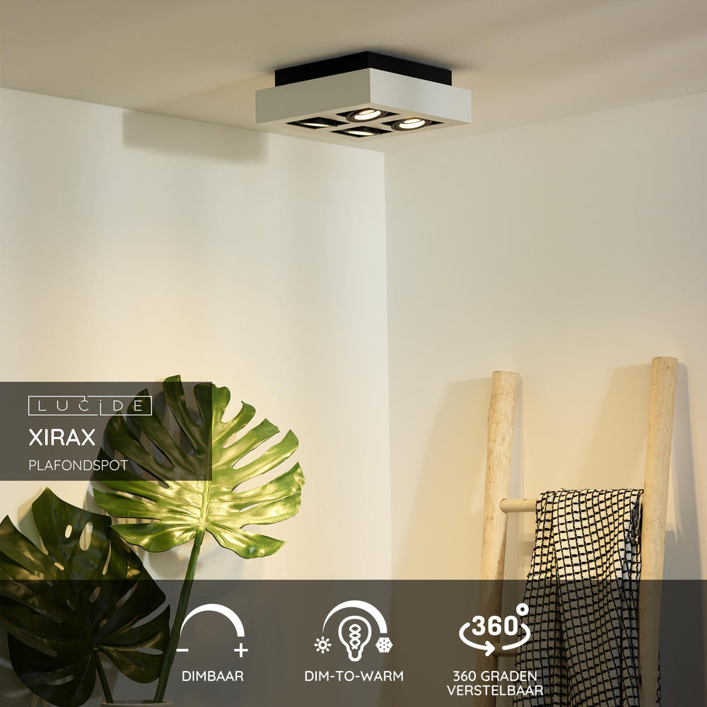 Lucide XIRAX LED loftspot, 4x5W GU10, dim to warm 2200K-3000K, IP20, firkantet Hvid aluminium