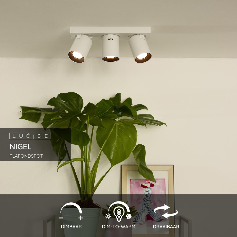 Lucide NIGEL LED loftspot, 3x5W GU10 dim to warm 2200K-3000K, justerbar aluminium Hvid, IP20