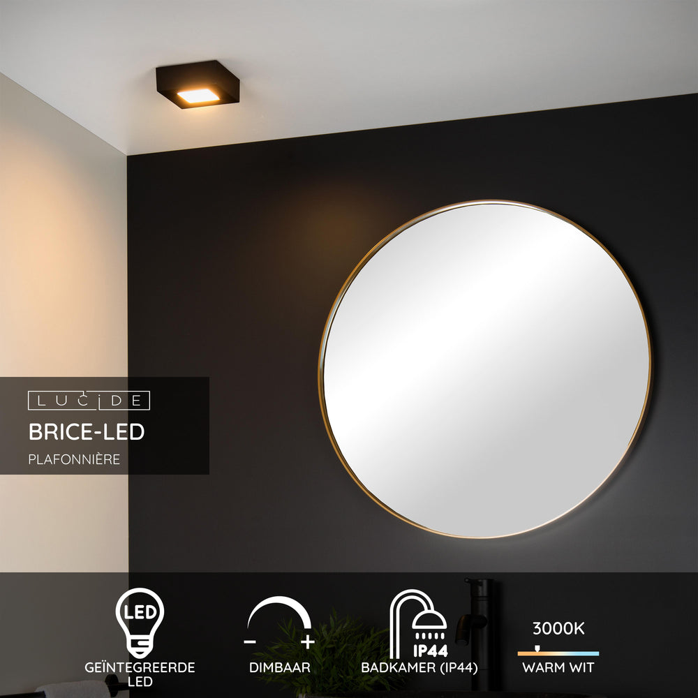 Lucide BRICE LED badeværelsesloftlampe, dæmpbar 8W 3000K, IP44, kvadratisk sort finish