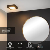 Lucide BRICE LED badeværelses loftlampe, dæmpbar 15W 3000K, IP44, firkantet mat sort finish
