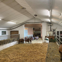 Ledvance LED fugttæt armatur 1500mm 50W 4000K 6500 lumen IP67 IK06 Køligt hvidt overflademonteret