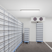 Philips WT060C LED vandtæt armatur 46W 6500K 5600 lumen 1500mm IP66 IK08 opal polycarbonat