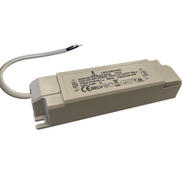 Tsong LED-paneldriver 40w 27-42v 1000ma ikke-dæmpbar