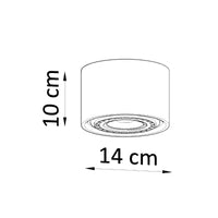 Sollux lighting led plafondspot natural wood finish with 13mm width