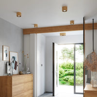 Sollux Lighting BASIC 2 LED ceiling spotlight, natural wood, IP20, 220-240V, max 50W, CE RoHS
