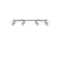 Sollux Lighting LED loftspot RING, 4xGU10, IP20, aluminium mat guld, 220-240V, CE RoHS