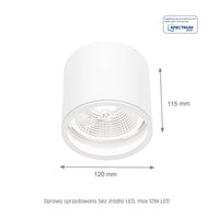 Spectrum CHLOE AR111 GU10 Overflademonteret Loftlampe IP65 Hvid Aluminium 250V Indendørs Udendørs